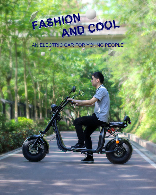 Fast Charging Two Wheel Electric Scooter , Two Wheeled Standing Scooter Eec Approval